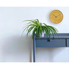 Sodateru Tokei Handmade Ceramic Wall Clock | Mino Ware | Made in Japan