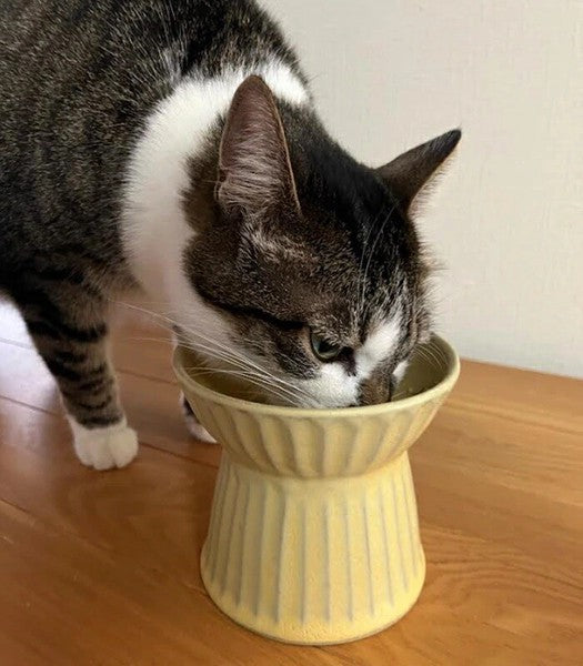 Mashiko Ware Pet Food Bowl for Cats and Small Dogs – Yellow | Mashiko Ware | Made in Japan