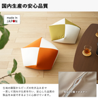 Ojami Cushion